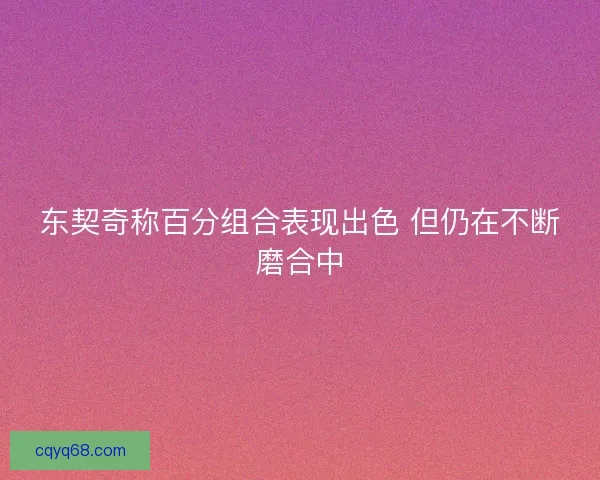 东契奇称百分组合表现出色 但仍在不断磨合中