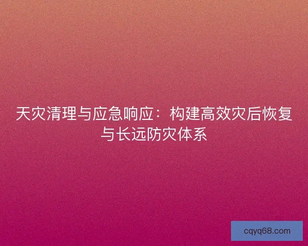 天灾清理与应急响应：构建高效灾后恢复与长远防灾体系