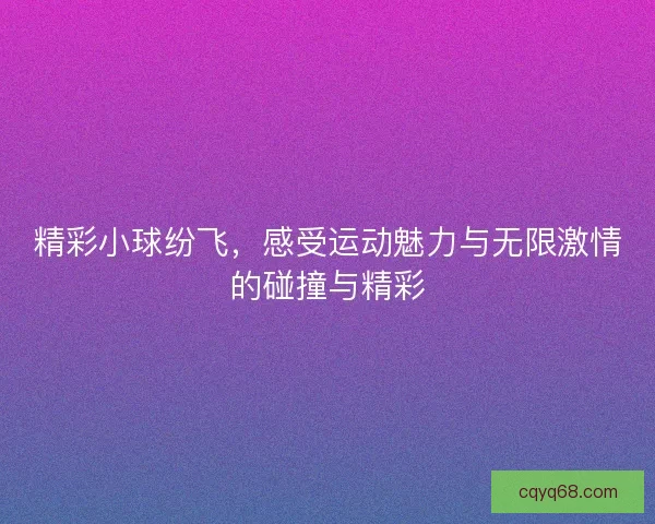 精彩小球纷飞，感受运动魅力与无限激情的碰撞与精彩